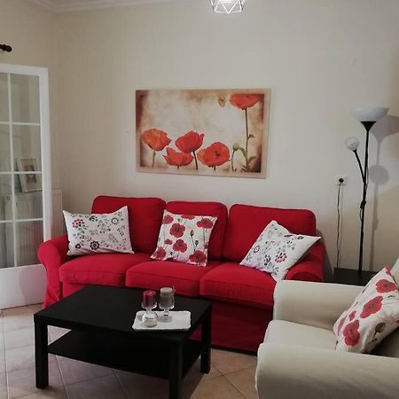 Sunny Stay Furnished Apartment In Kanoni Zewnętrze zdjęcie