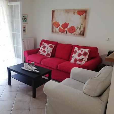 Sunny Stay Furnished Apartment In Kanoni Zewnętrze zdjęcie