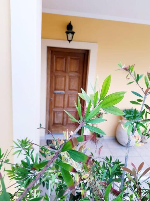 Sunny Stay Furnished Apartment In Kanoni Zewnętrze zdjęcie